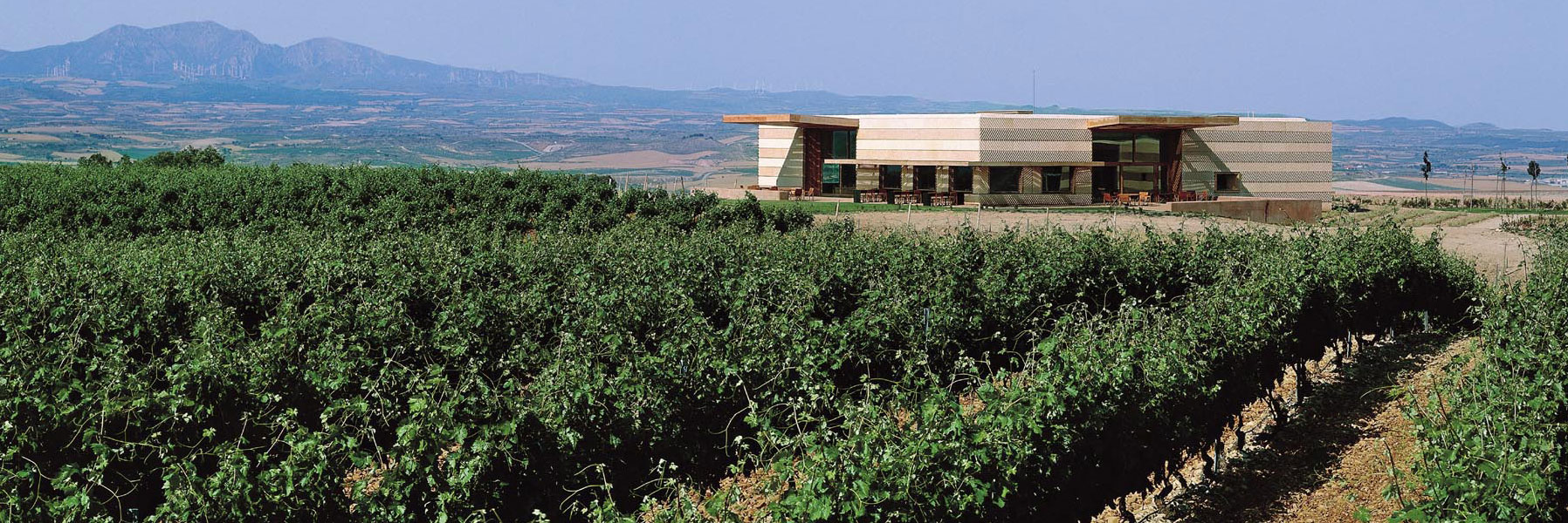 Winery-Current-hero_1796x600px